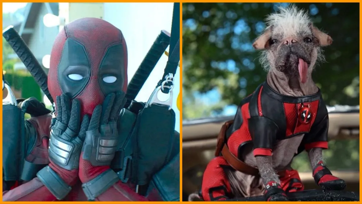 Exploring The Dog Pool Scene In Deadpool: A Comprehensive Guide