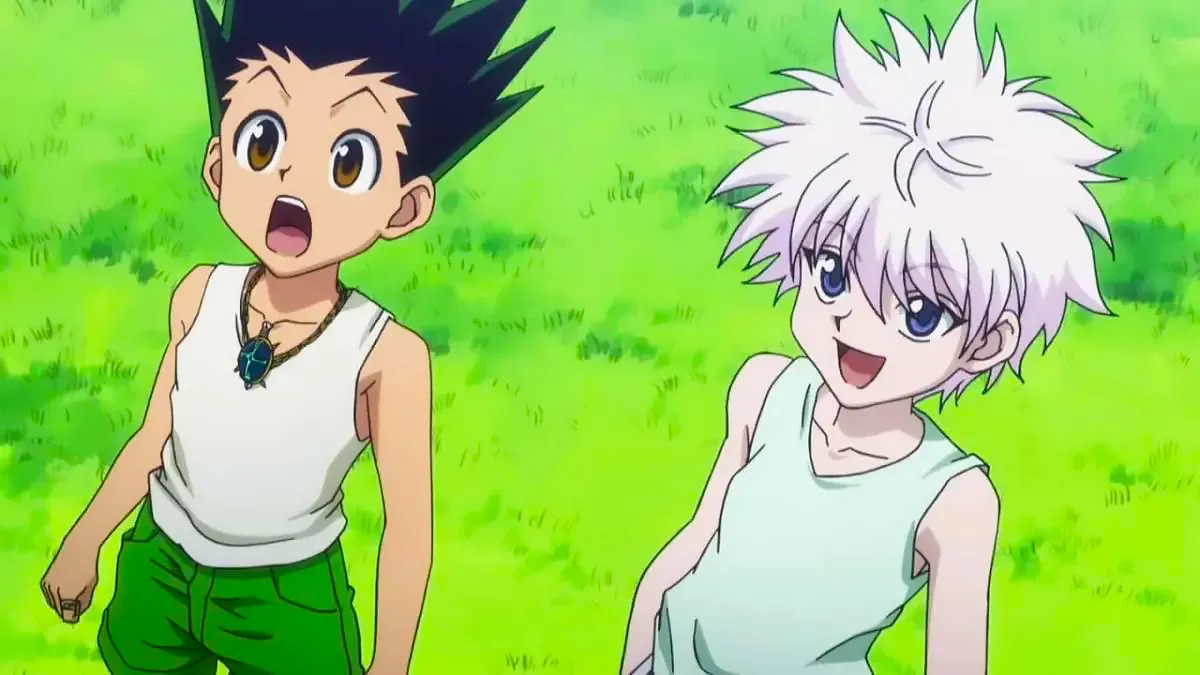 Netflix: Netflix disappoints Hunter x Hunter fans with the most
