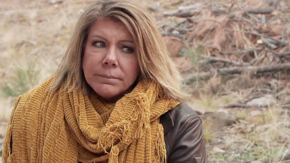 'Sister Wives': Why did Meri and Kody Brown divorce?