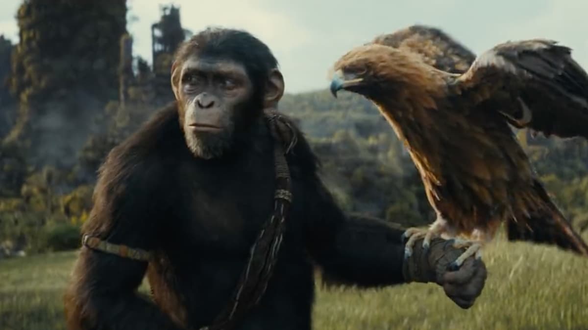 The Best of the Apes’ Watch Order, Explained
