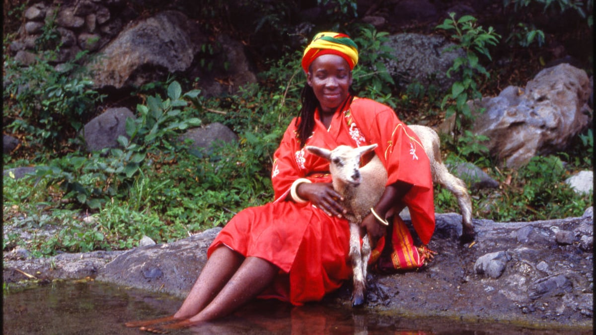 Portrait of Rita Marley, singer, with a lamb by a river, Kingston Parish, Jamaica. August 8, 1982. 