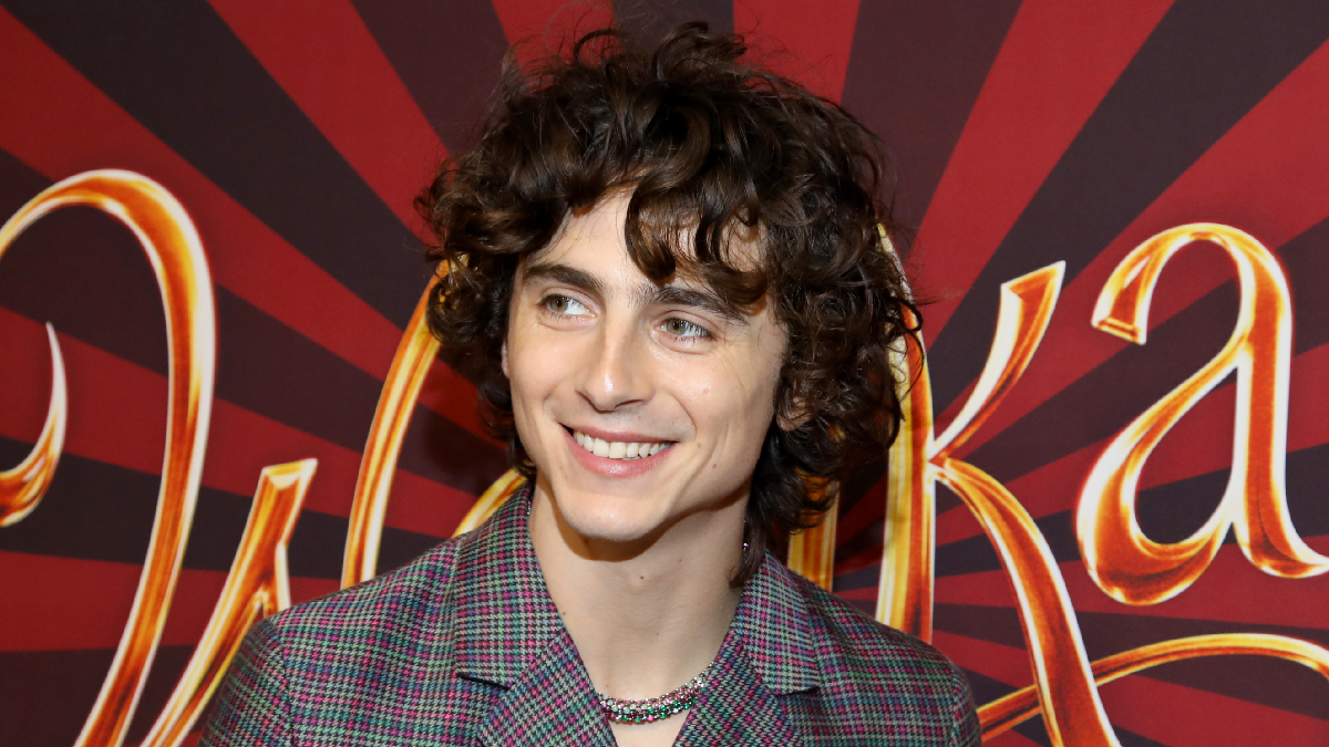 How Old Is Timothée Chalamet?