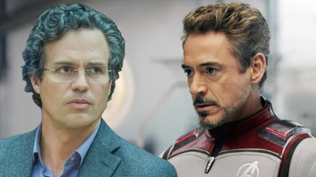 Bruce Banner and Tony Stark