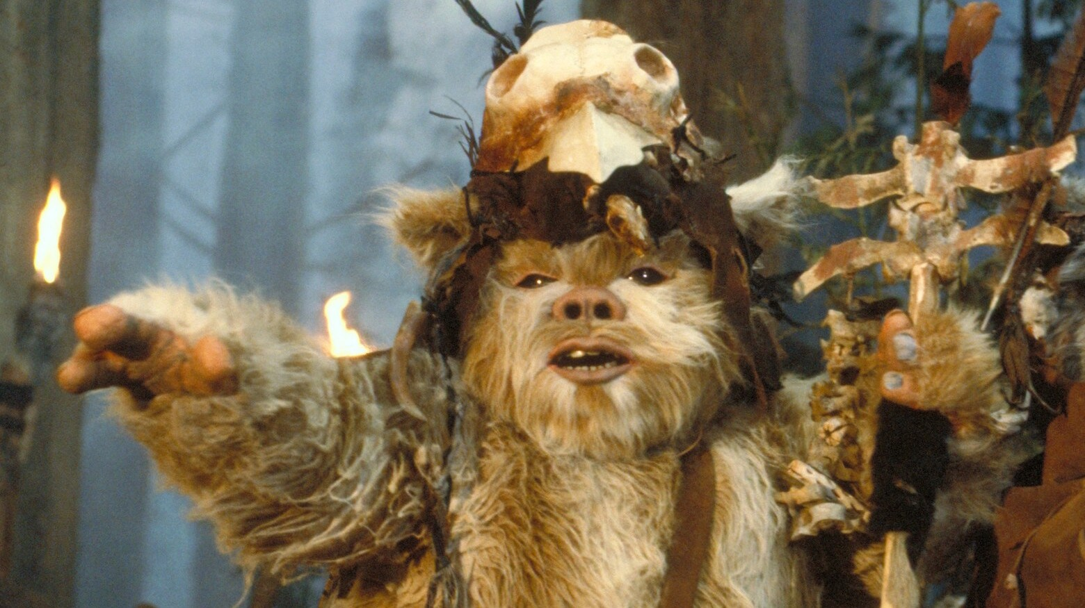 A Logray Ewok has its arm in front of it.