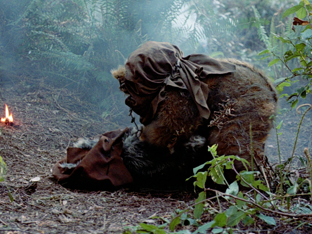 A Romba Ewok is helping another Ewok in the forest.