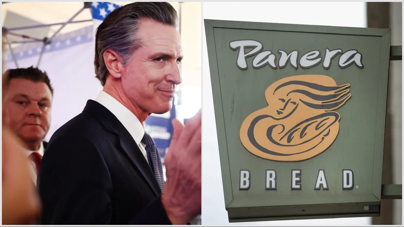 ‘This Corruption Is Insane’: Is Panera Bread Really Exempt From The CA ...