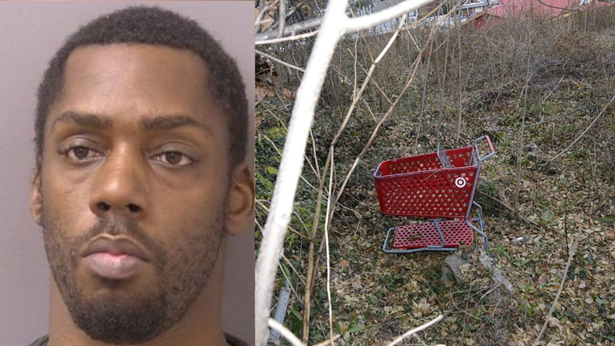 What Happened to Anthony Robinson, the Alleged Shopping Cart Serial Killer?
