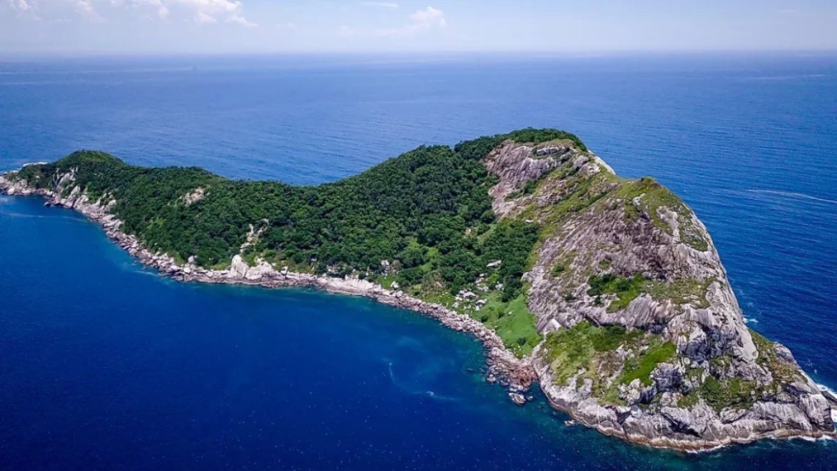 Brazil’s Snake Island Is So Dangerous It’s Illegal for Anyone To Enter ...