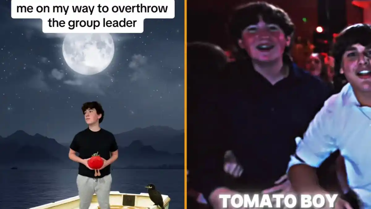 Tomato Boy in TikTok Rizz Party, Explained