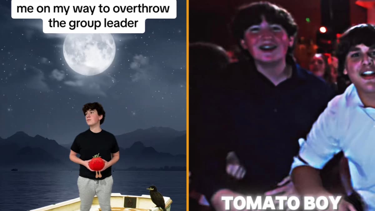 Tomato Boy