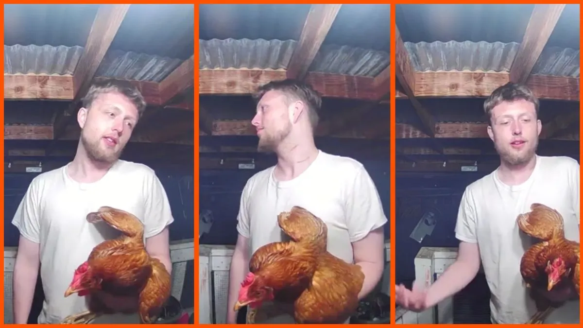 Side by side images of a man holding a chicken during nighttime.