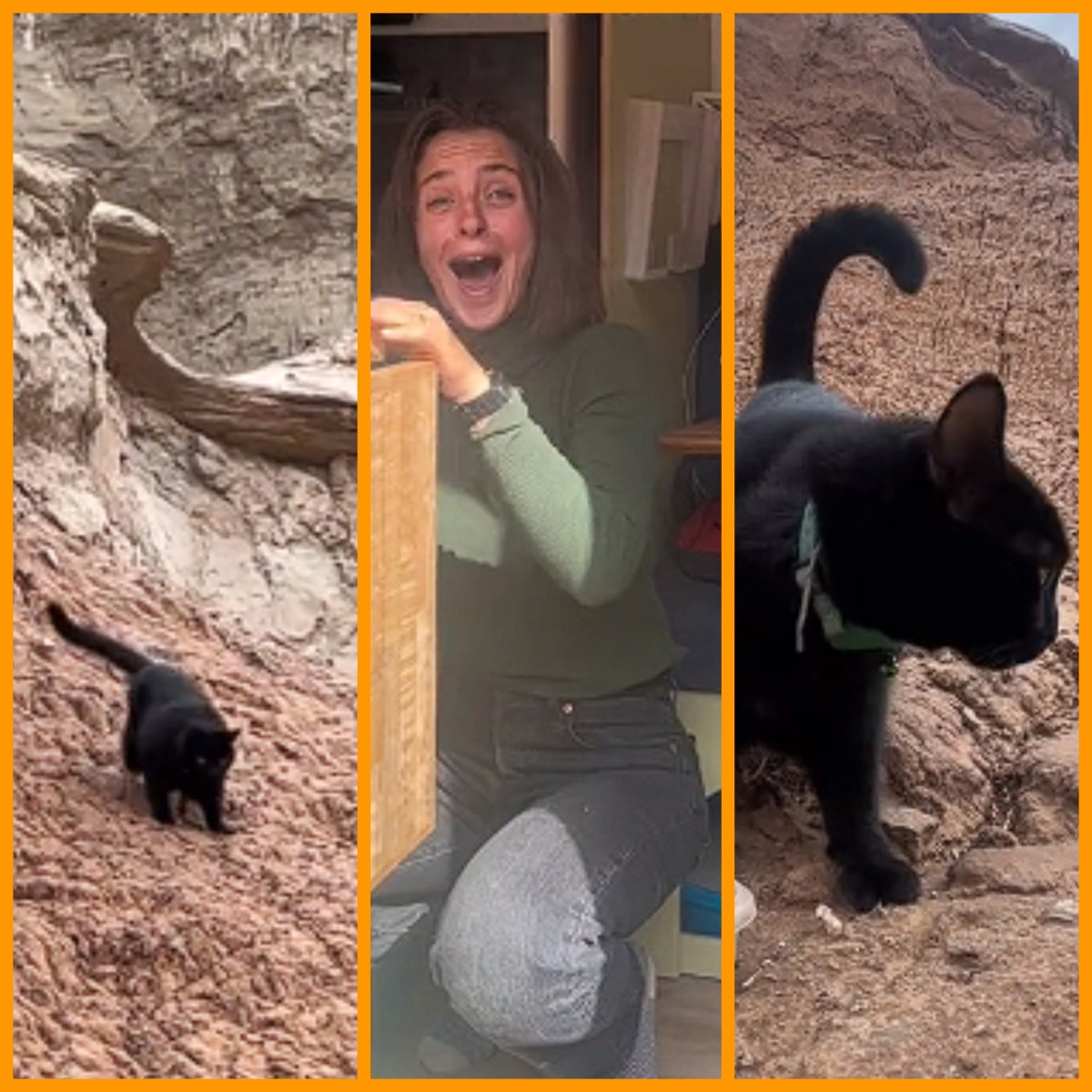 tiktok-penny-cat-mountain-edit