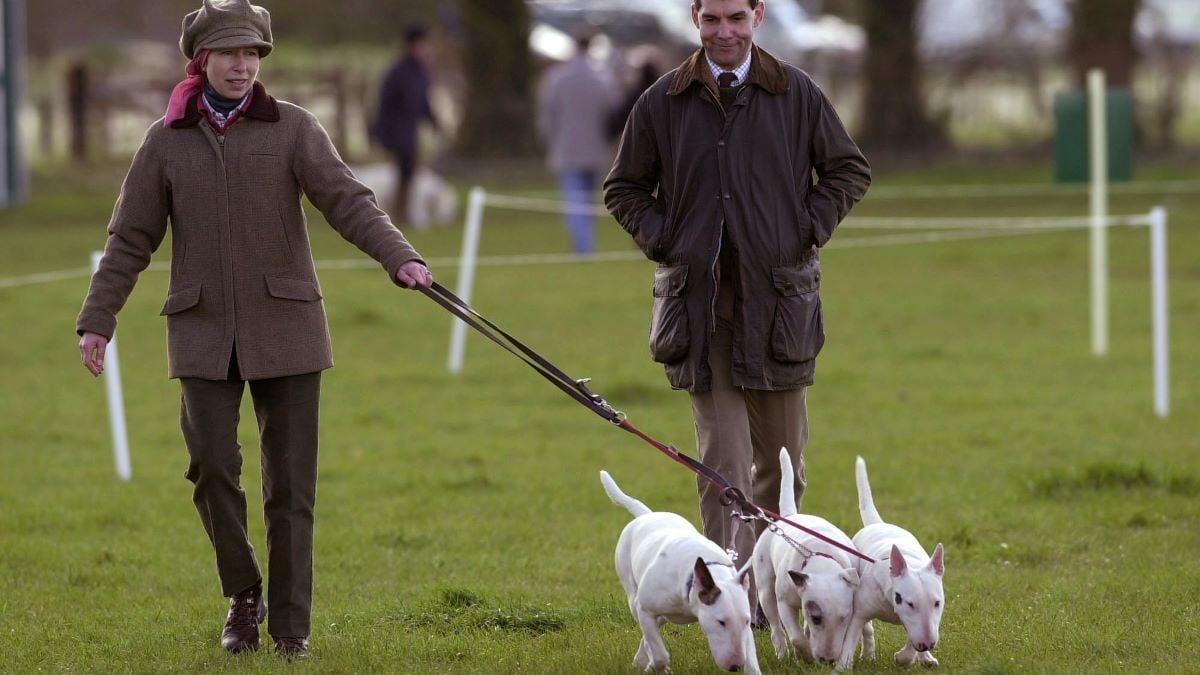 Gatcombe Park Horse Trials At Princess Anne's Home In Gloucestershire. Princess Anne Walking Her English Bull Terrier Dogs, With Her Is Her Bodyguard Ben Dady. (Photo by Tim Graham Photo Library via Getty Images)