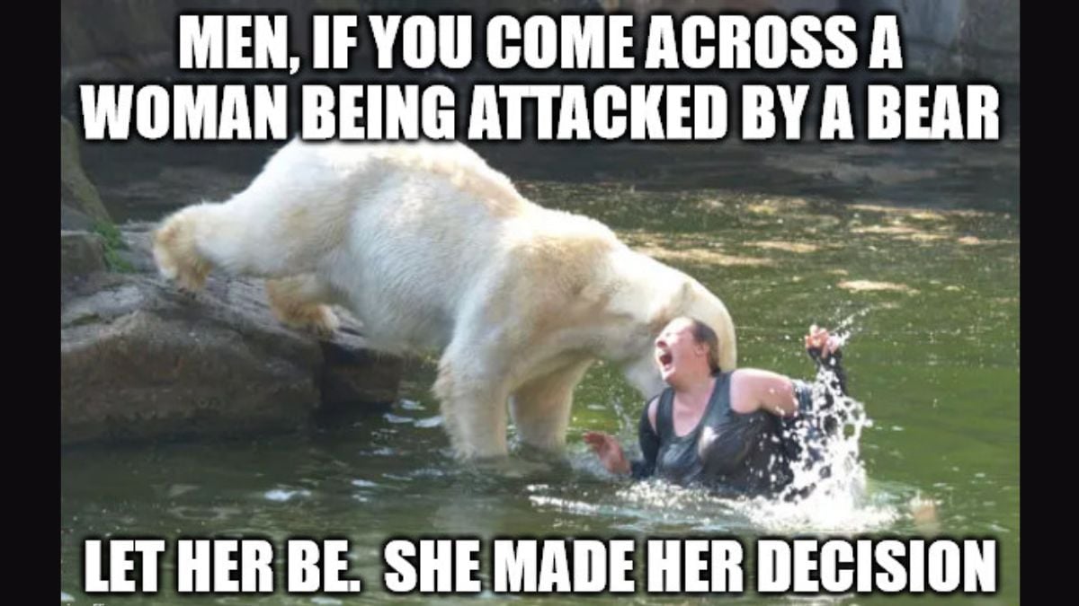 Man vs bear meme