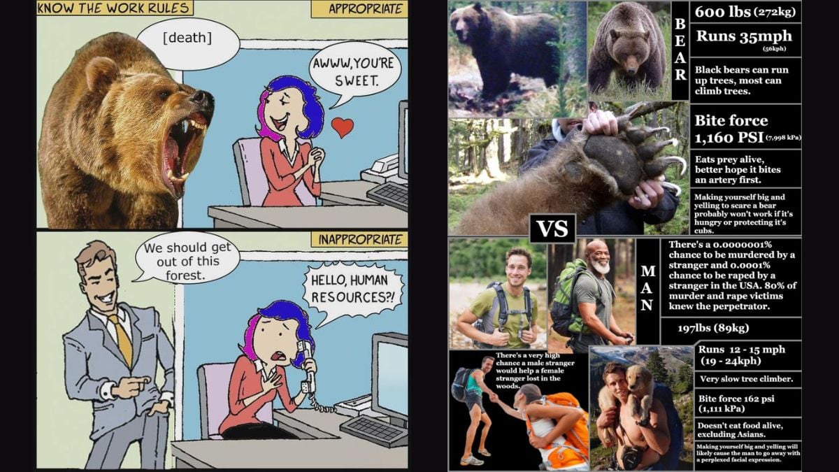 Man vs bear meme