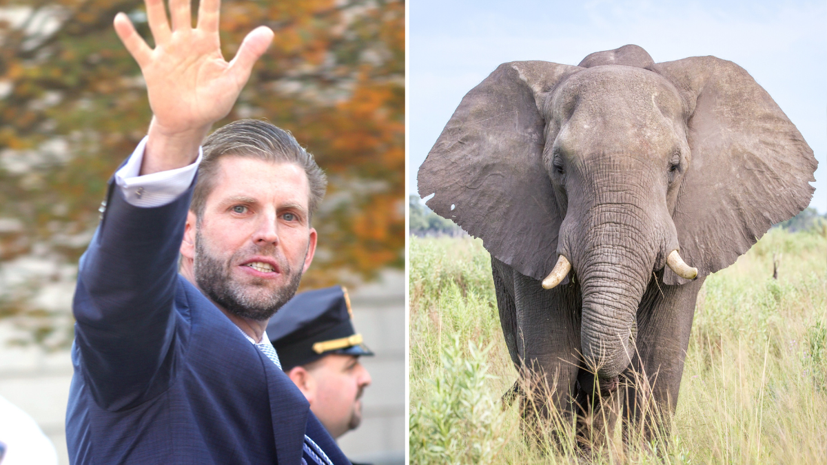Eric Trump waving next to an elephant