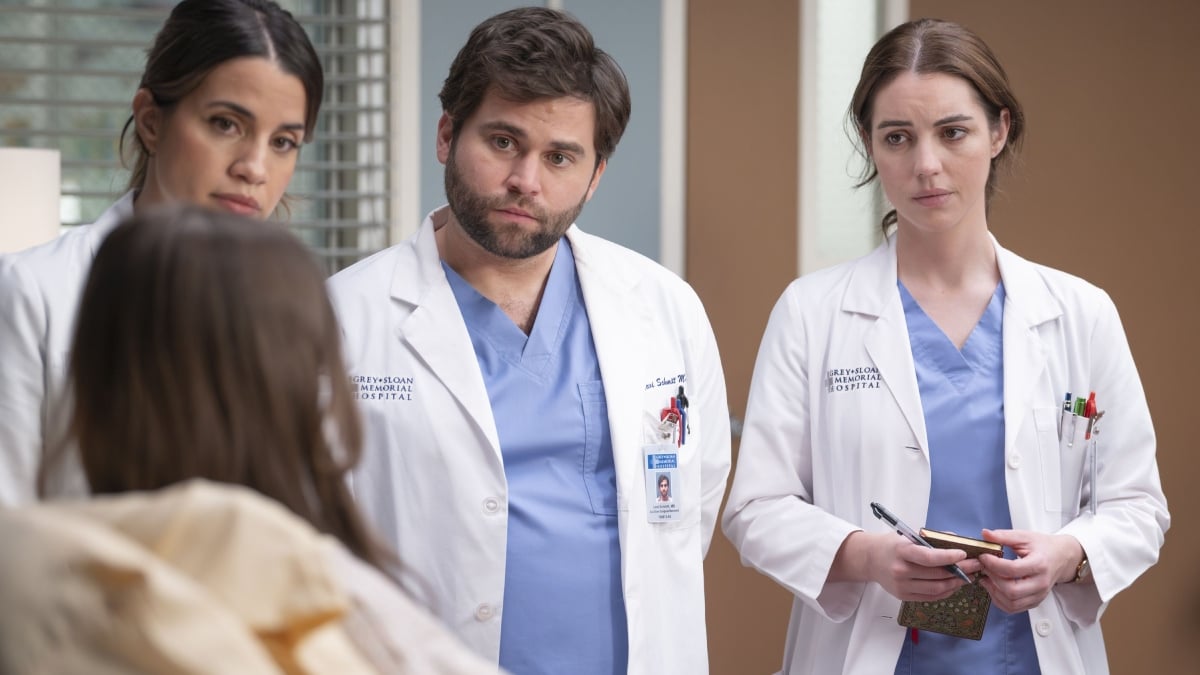 'Grey's Anatomy' Season 2024 Finale Explained