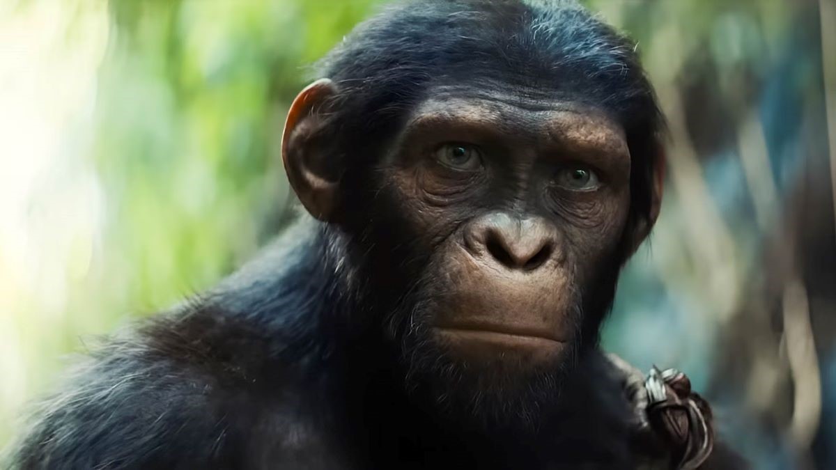 Noa in 'Kingdom of the Planet of the Apes'