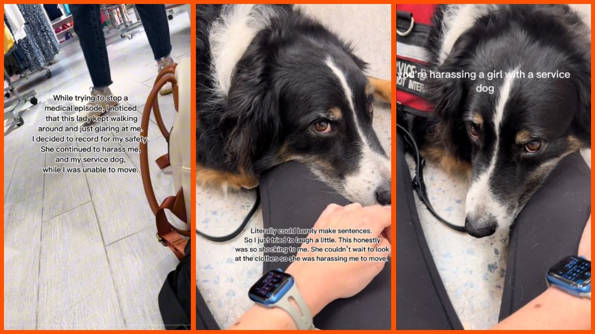 ‘You can’t sit anywhere else?’: Woman having medical episode harassed and belittled at JCPenney’s by heartless dog-hater