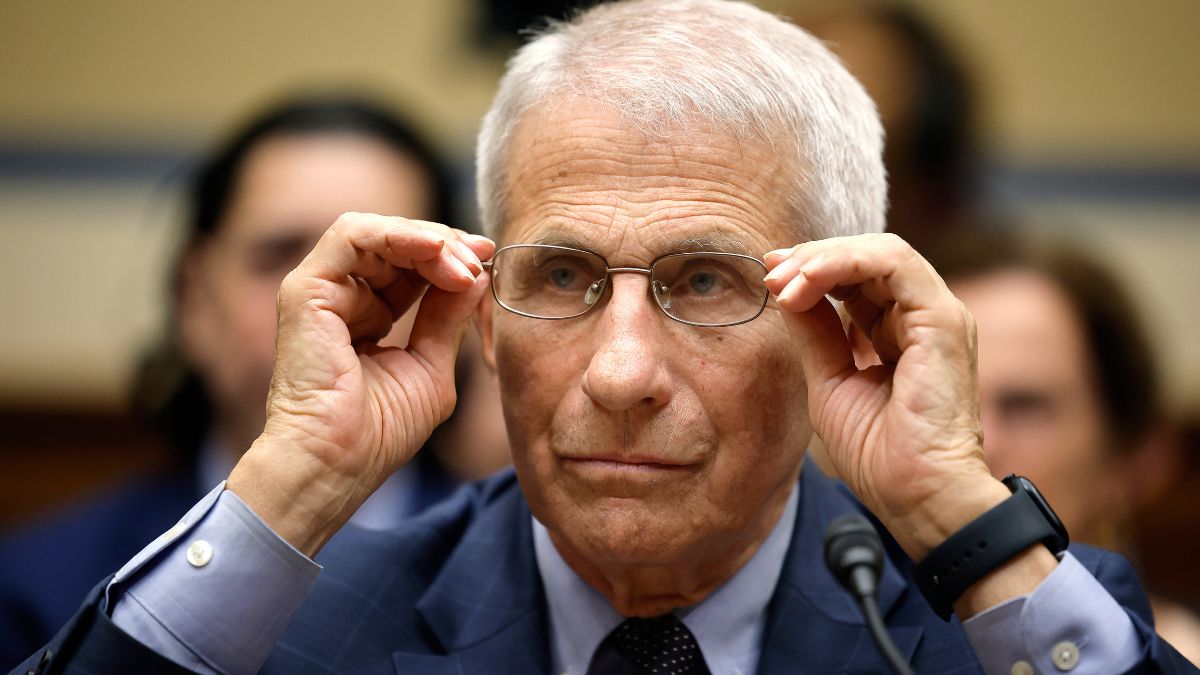 Is Dr. Anthony Fauci a Real Doctor? His Credentials and Experience ...