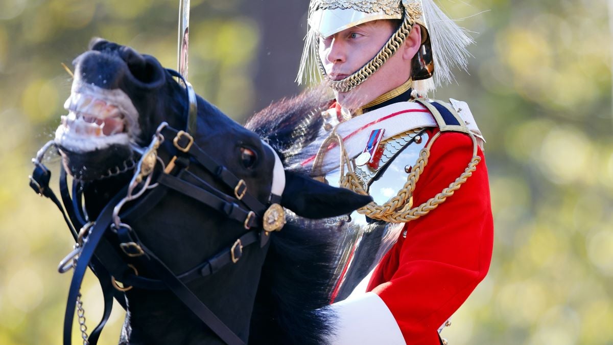 A soldier of the Household Cavalry Mounted Regiment rides on horseback down The Mall en route to The State Opening of Parliament on November 7, 2023 in London, England. The speech delivered by the monarch but written by the government sets out the government's priorities for the coming year. This session of parliament will lead up to the next general election. (Photo by Max Mumby/Indigo/Getty Images)