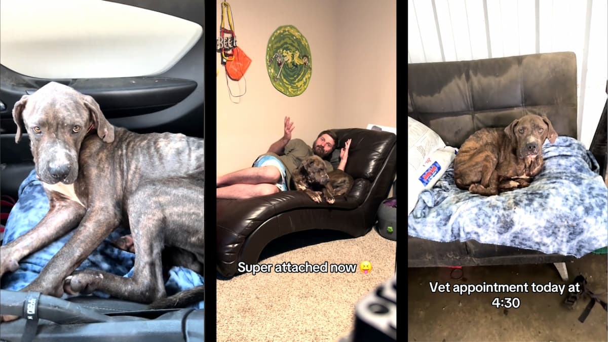 Gamer_Gut and Mack's journey through recovery on TikTok.