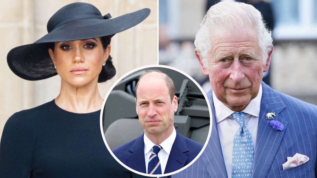 Meghan Markle Makes ‘Immature’ Demand and Haunts Prince William as King ...