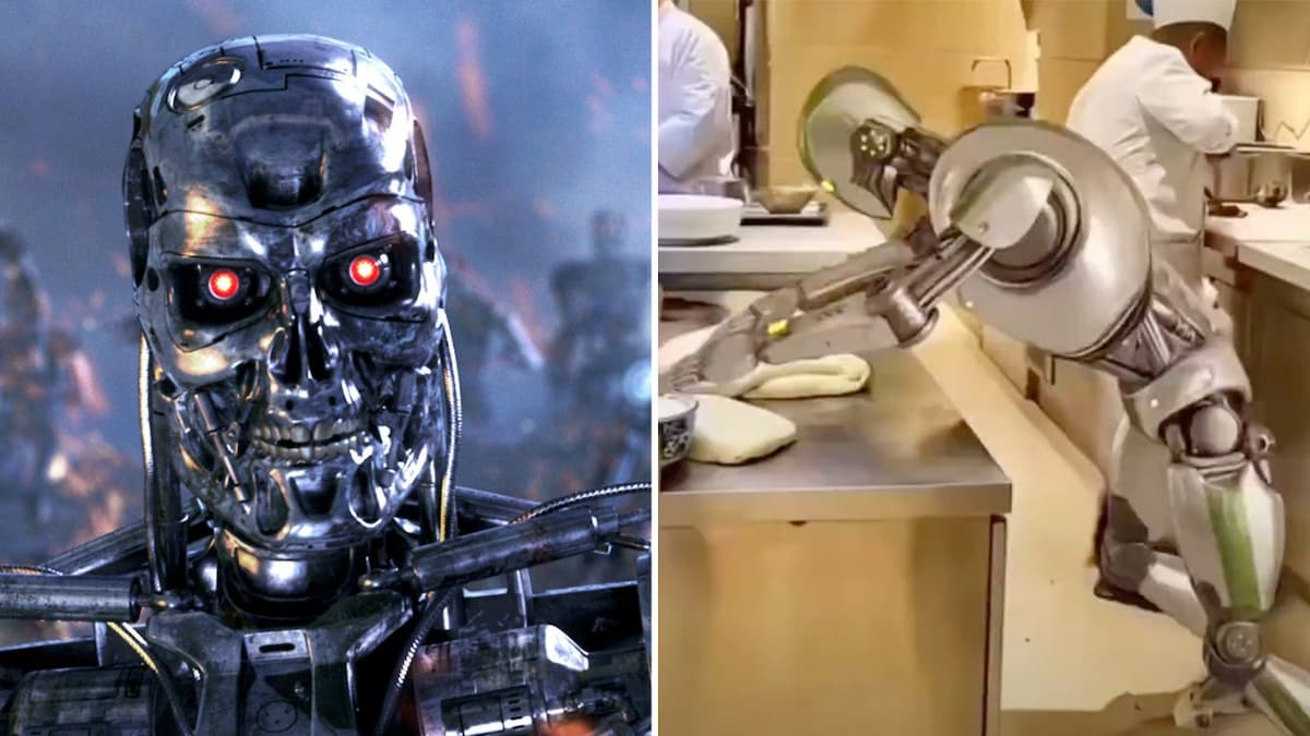 Terminator and Robot Chef meme