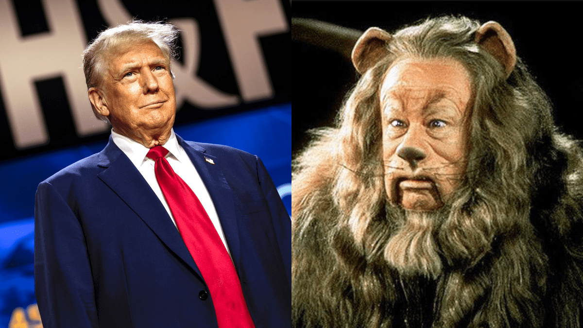 Donald Trump looking like a dump next to a disturbed Cowardly Lion from 'The Wizard of Oz.'