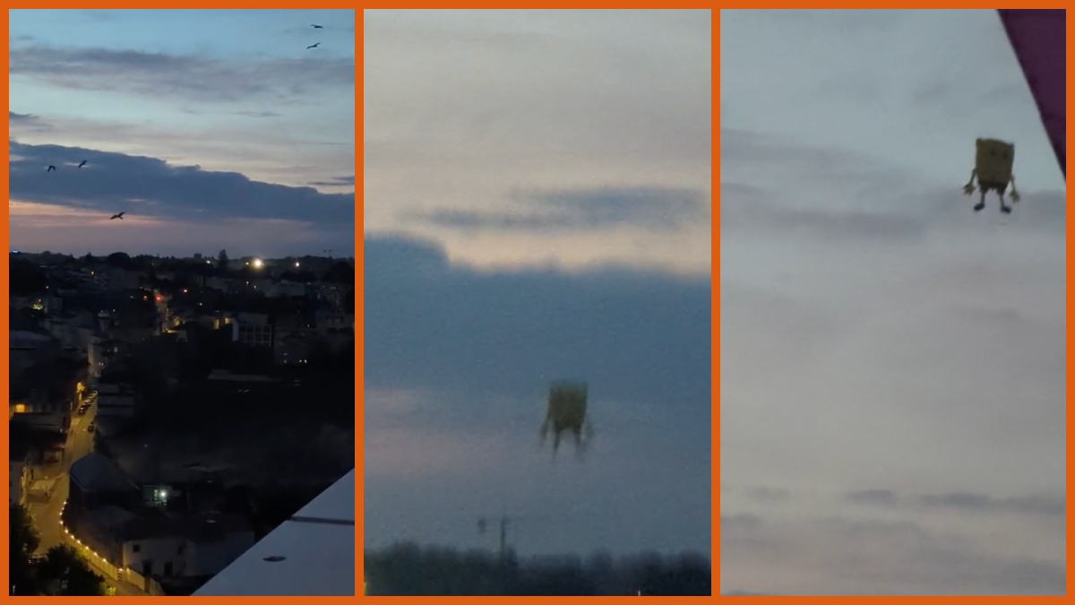 'Moving, cinematic experience': Woman tries to film a beautiful sunset, captures SpongeBob ascending to heaven instead