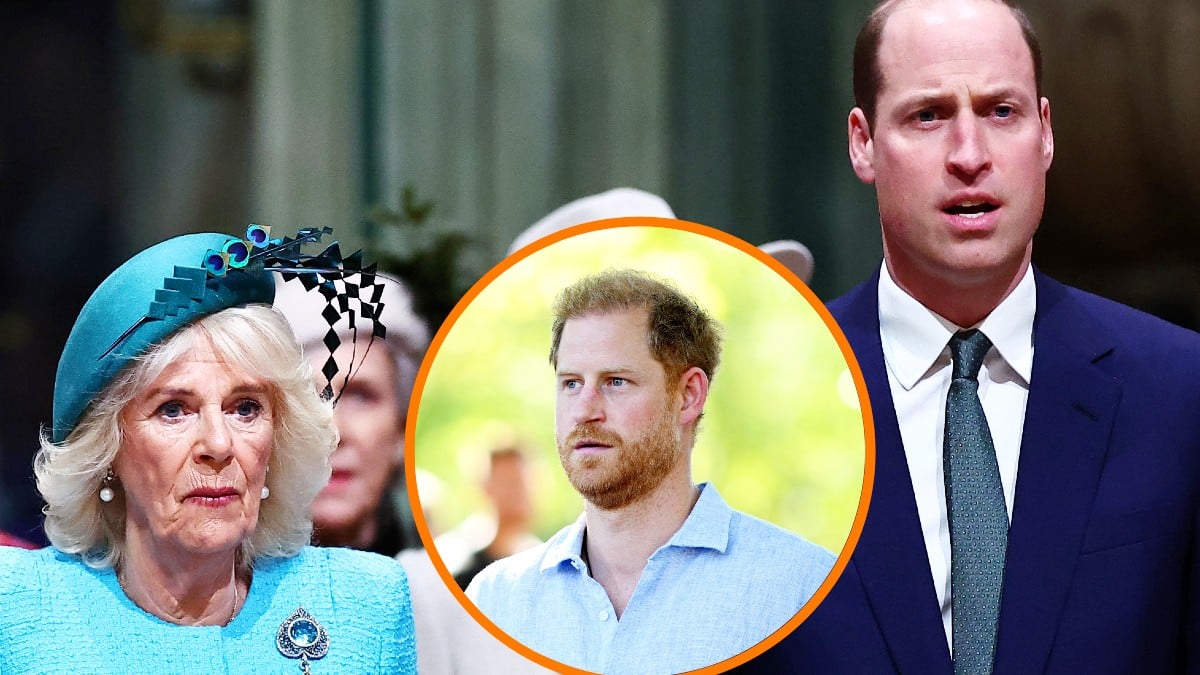 Prince William revenge against Queen Camilla
