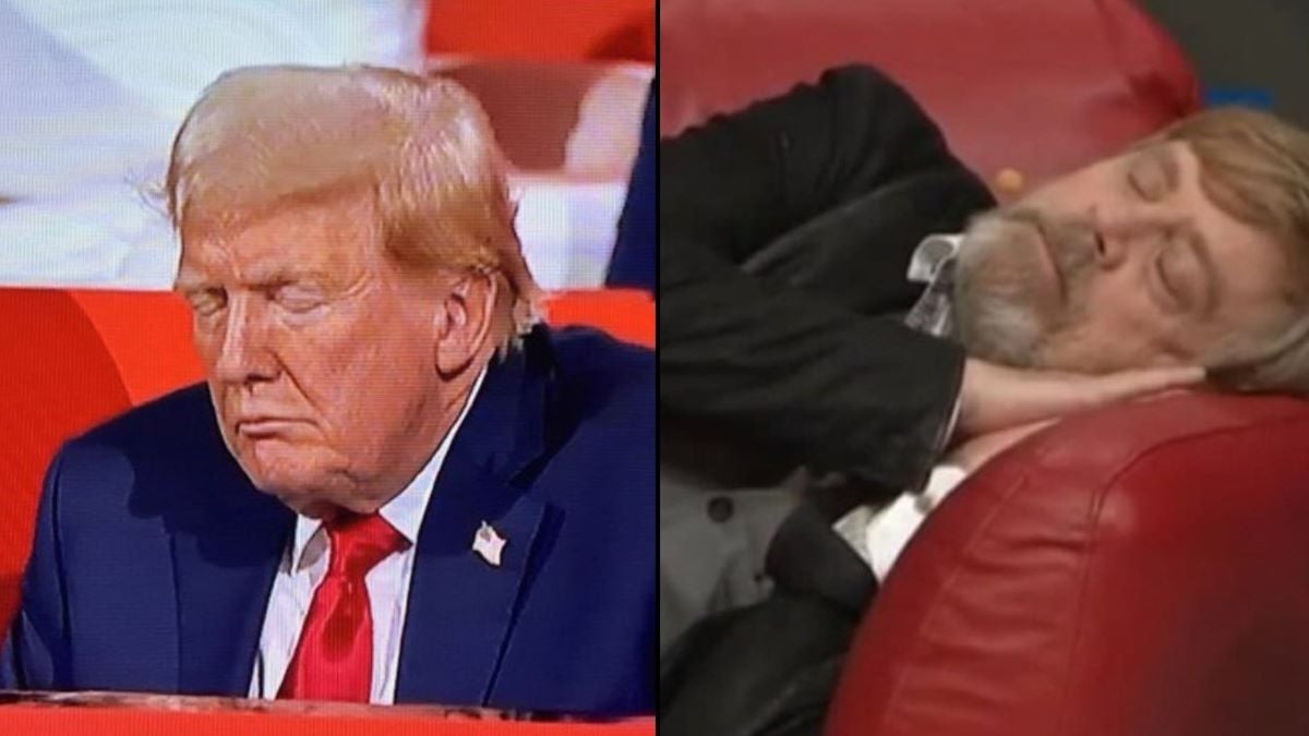 Mark Hamill Donald Trump Sleeping X