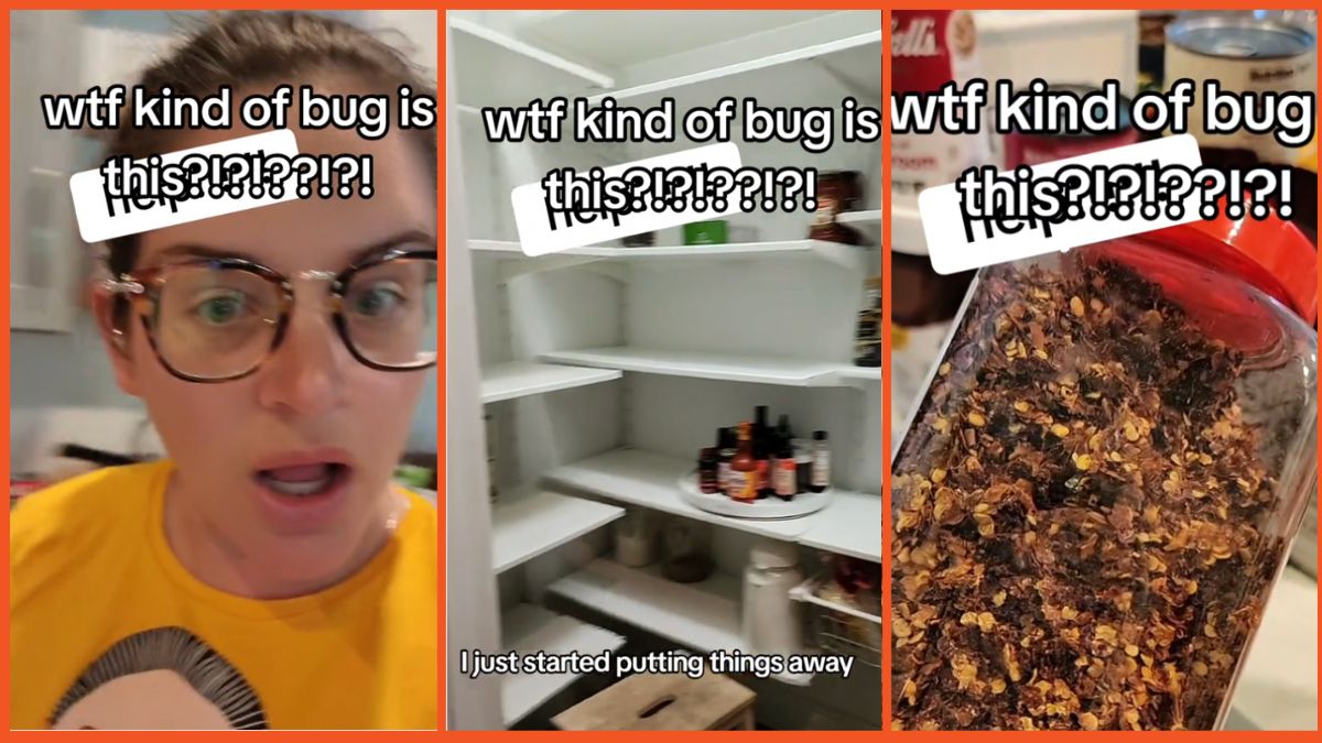A woman finds bugs in her pantry