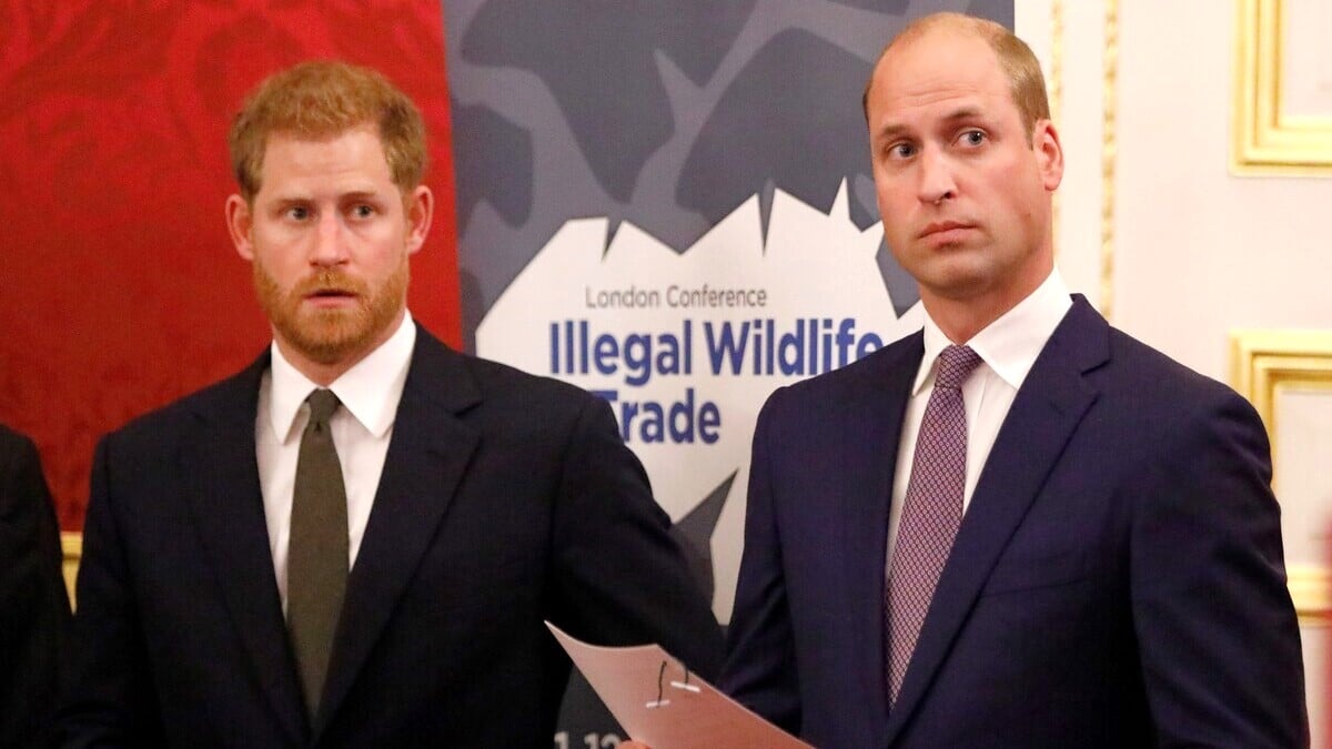 Prince William, Duke of Cambridge (R) and Prince Harry, Duke of Sussex, host a reception to officially open the 2018 Illegal Wildlife Trade Conference at St James' Palace on October 10, 2018 in London, England.