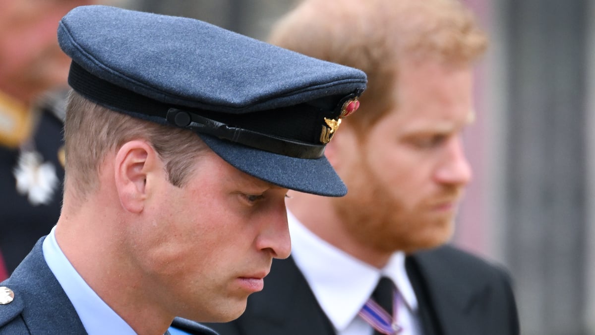 LONDON, ENGLAND - SEPTEMBER 19: Prince William, Prince of Wales and Prince Harry, Duke of Sussex during the State Funeral of Queen Elizabeth II at Westminster Abbey on September 19, 2022 in London, England. Elizabeth Alexandra Mary Windsor was born in Bruton Street, Mayfair, London on 21 April 1926. She married Prince Philip in 1947 and ascended the throne of the United Kingdom and Commonwealth on 6 February 1952 after the death of her Father, King George VI. Queen Elizabeth II died at Balmoral Castle in Scotland on September 8, 2022, and is succeeded by her eldest son, King Charles III.