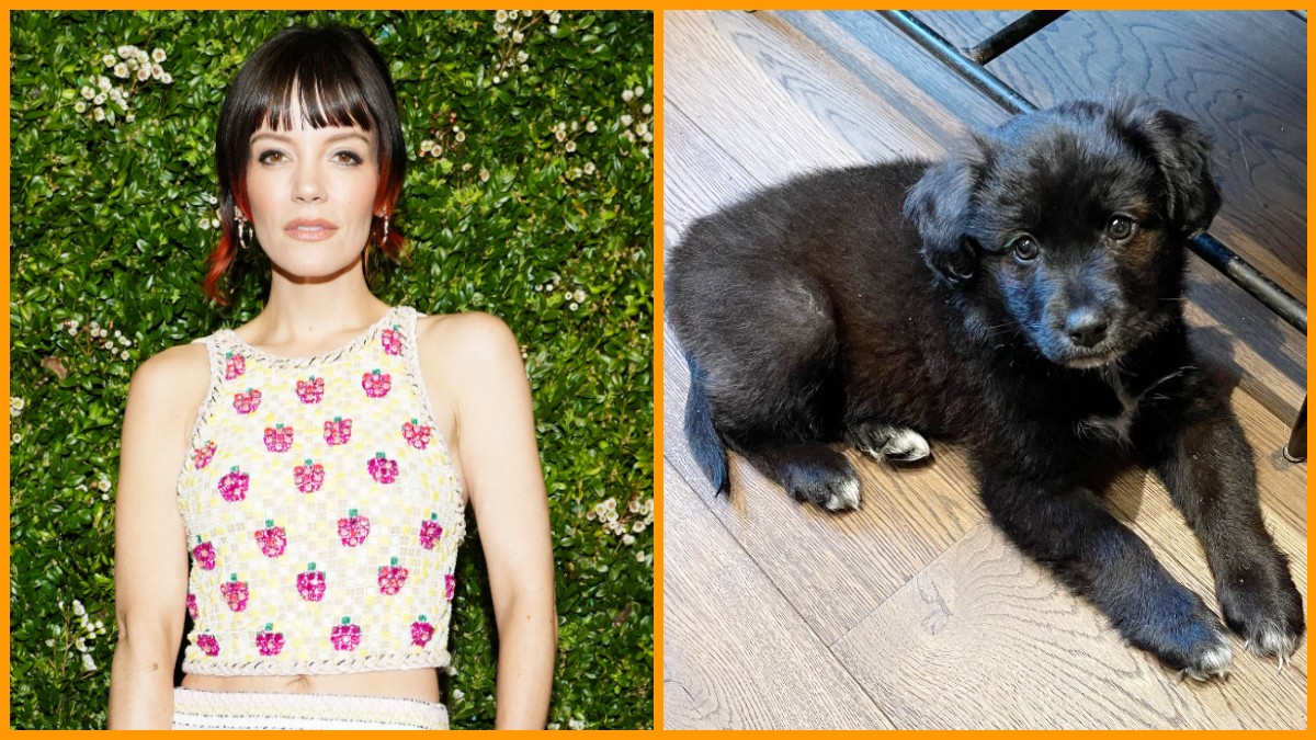 Lily-Allen-and-her-dog-Mary-.jpg