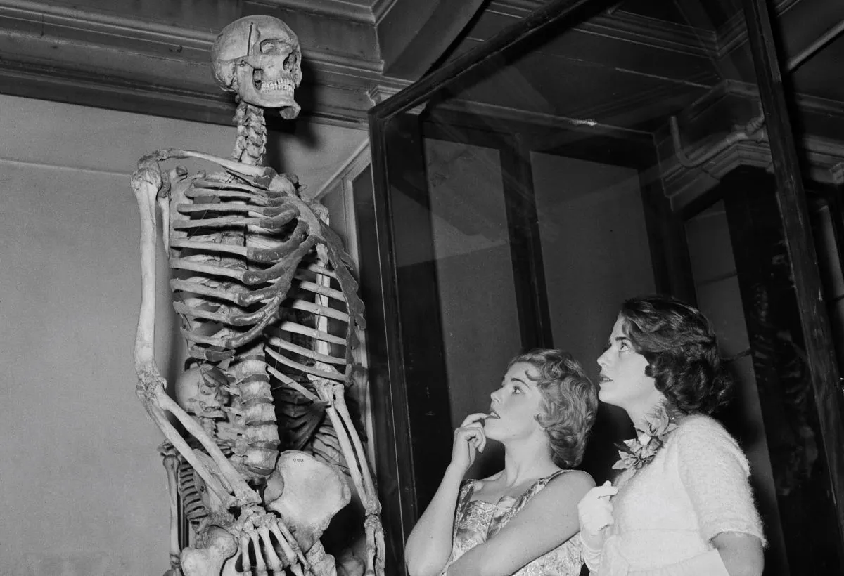 British actresses Jean Aubrey (1932 - 2008) and Diane Aubrey viewing the skeleton of Charles Byrne, also known as the 'Irish Giant', at the Hunterian Museum in London, April 1st 1959. (Photo by Evening Standard/Hulton Archive/Getty Images)