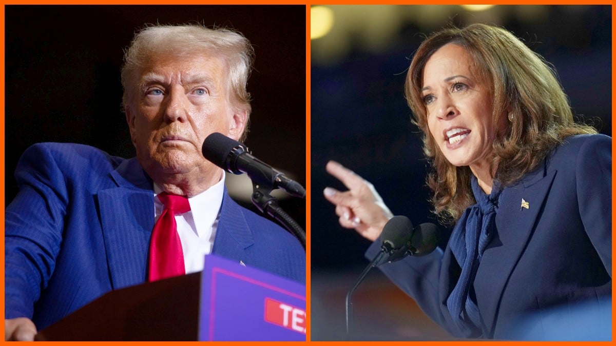 Kamala Harris knows Donald Trump's weakness