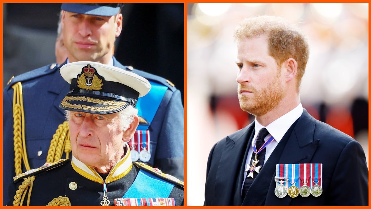 King Charles erases Prince Harry from England