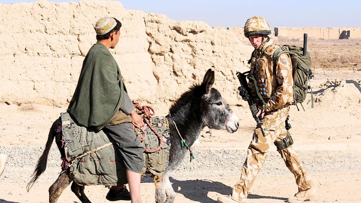 Prince Harry passes a donkey while on patrol through the deserted town of Garmisir close to FOB Delhi (forward operating base, where he was posted on JANUARY 2, 2008 in Helmand province, Southern Afghanistan.