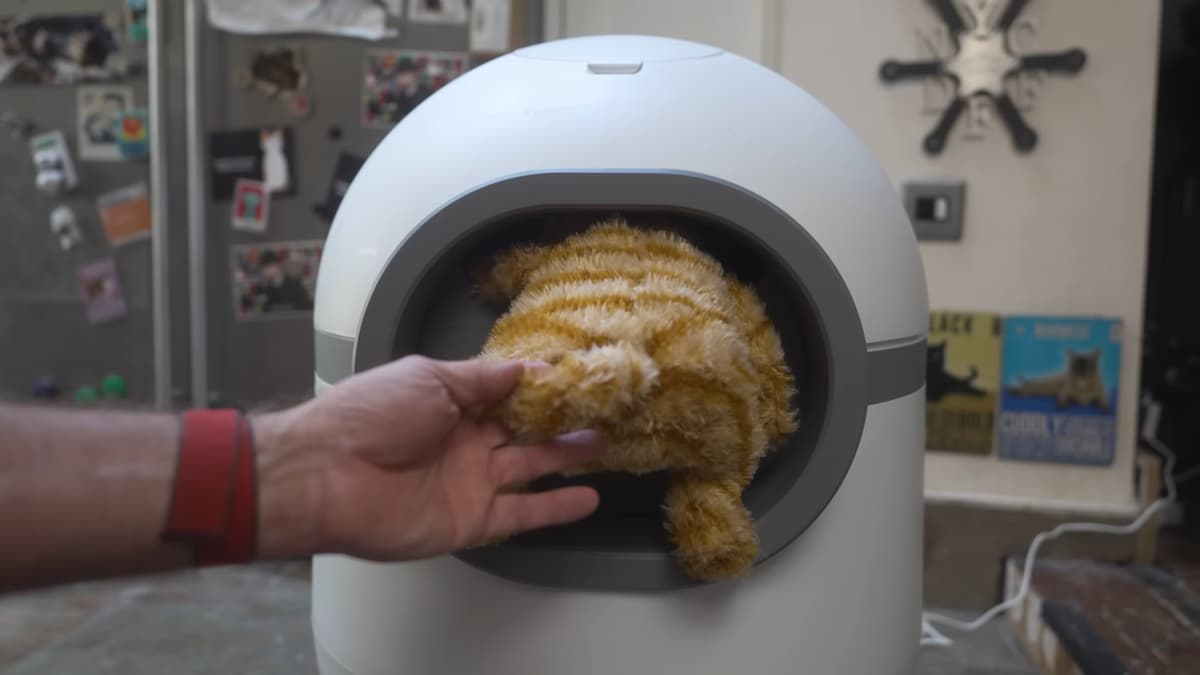 Automatic Litter Box