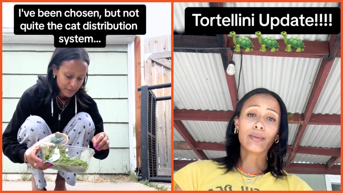 Cecily Bartlett-Wils TikTok screenshots composite, Tortellini updates