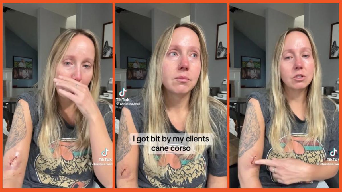 A split image of TikTok creator christina.wall recounting her cane corse incident