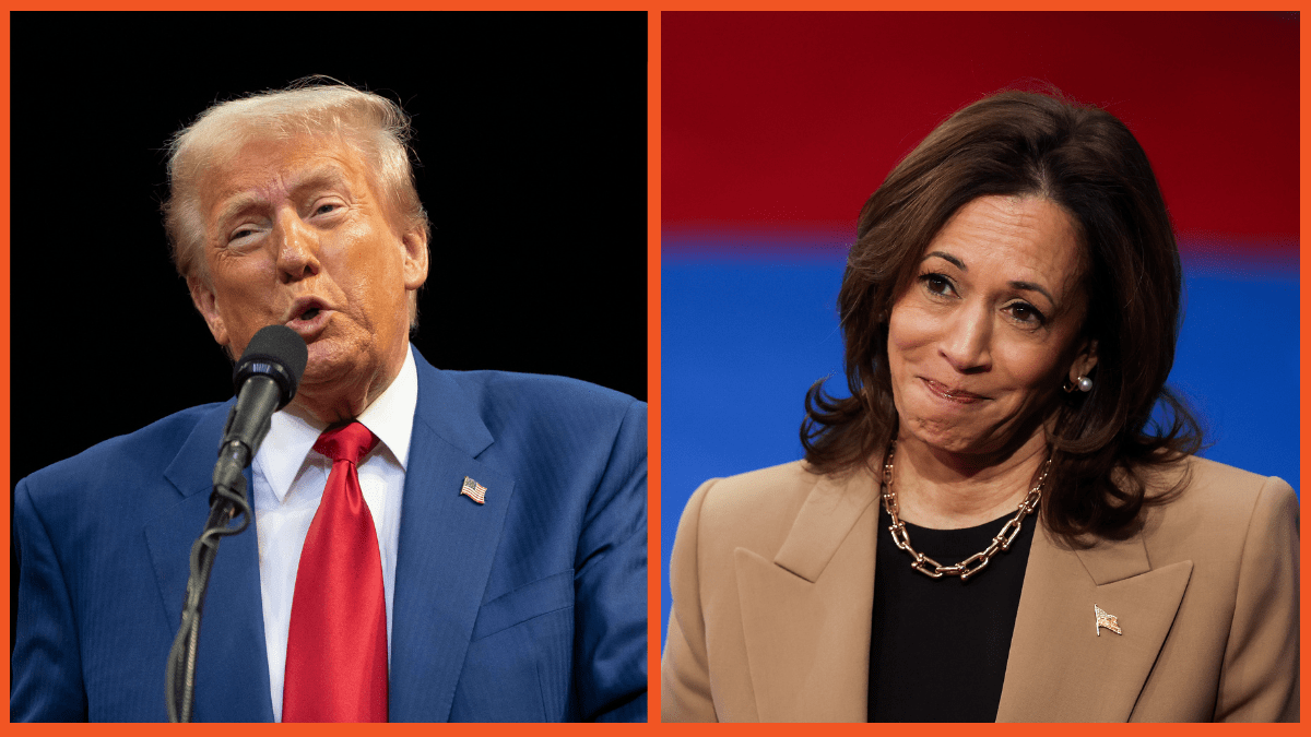 Donald Trump launches baffling attack on Kamala Harris over her seasonal allergies