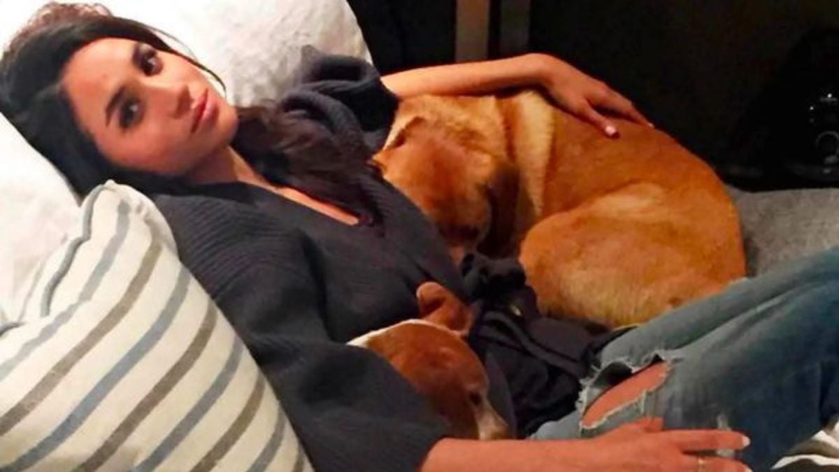 Meghan Markle with her abandoned rescue dog Bogart