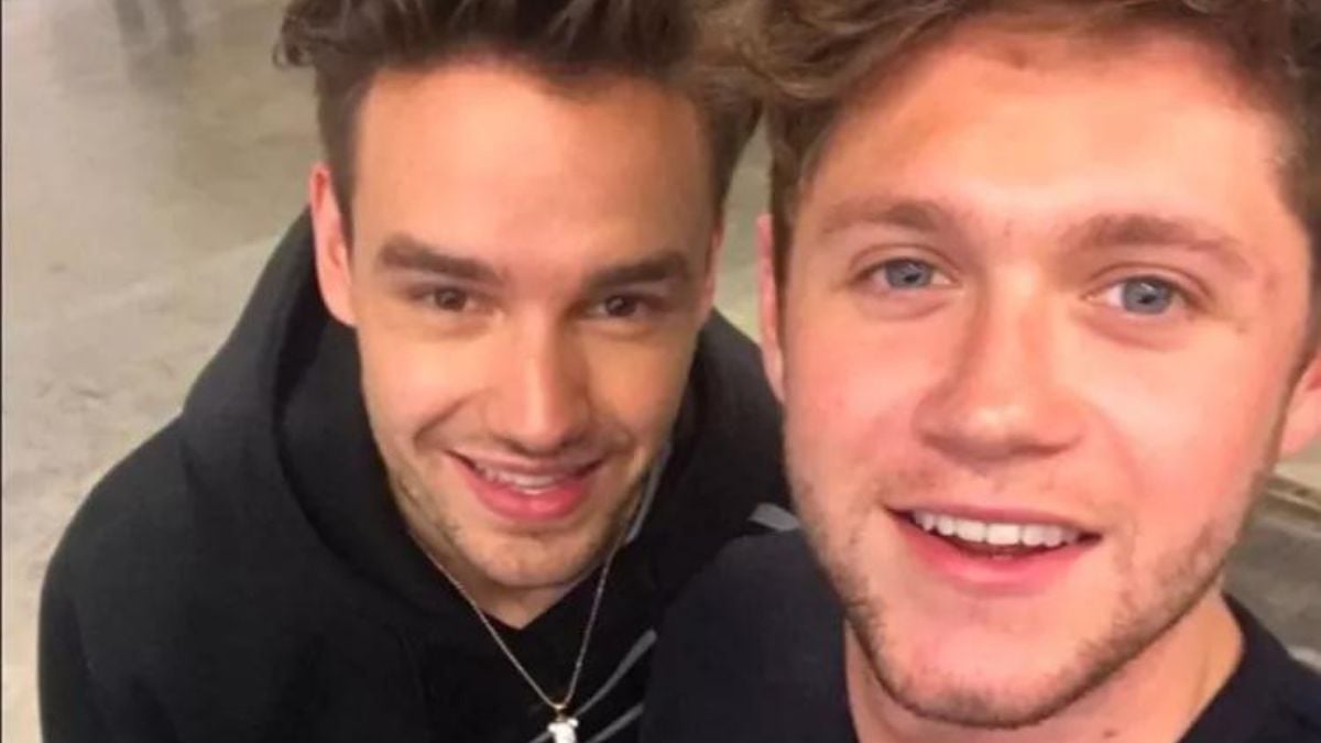 Niall Horan and Liam Payne posing for a selfie in 2017 after Indiana Concert