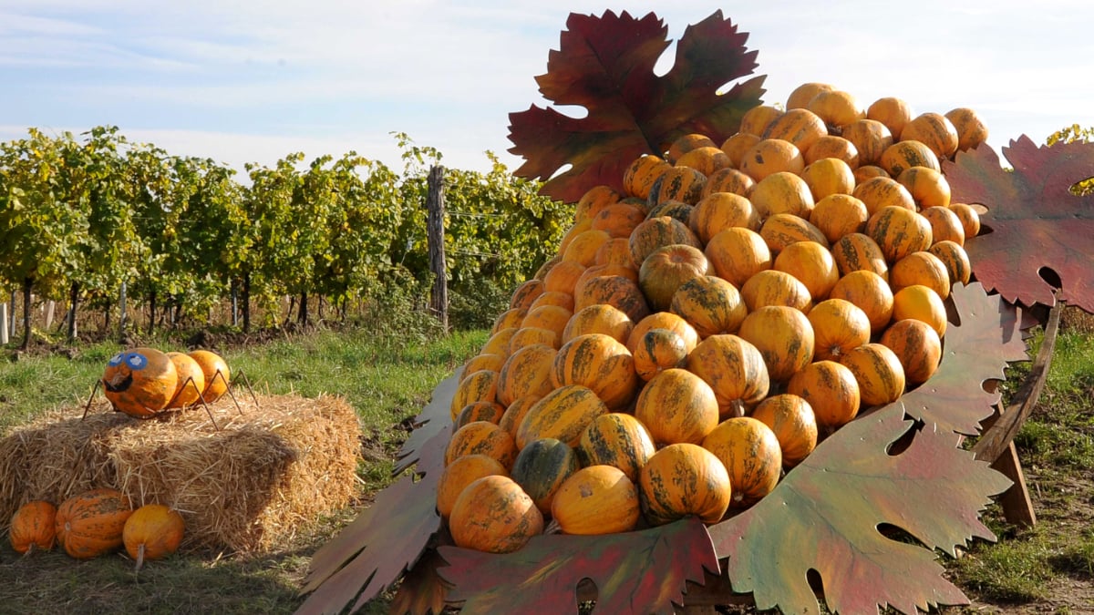 Retzer Land pumpkin festival