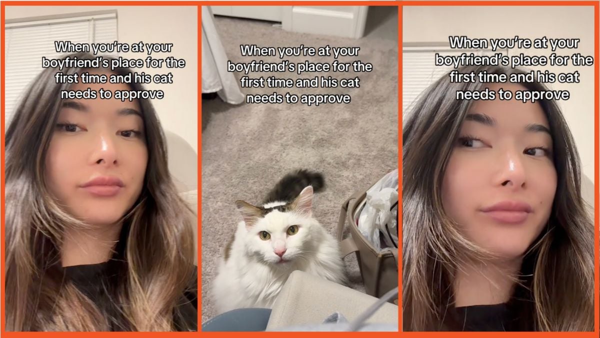 Screenshots of a woman and a cat on TikTok