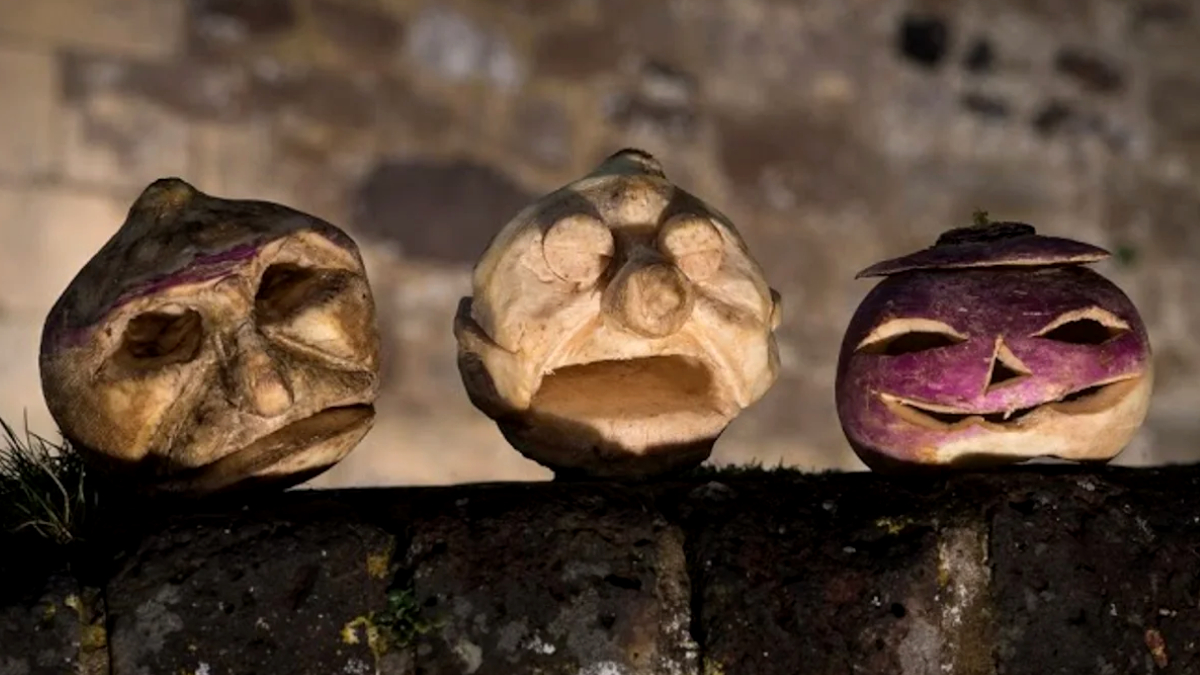 Turnip Carving