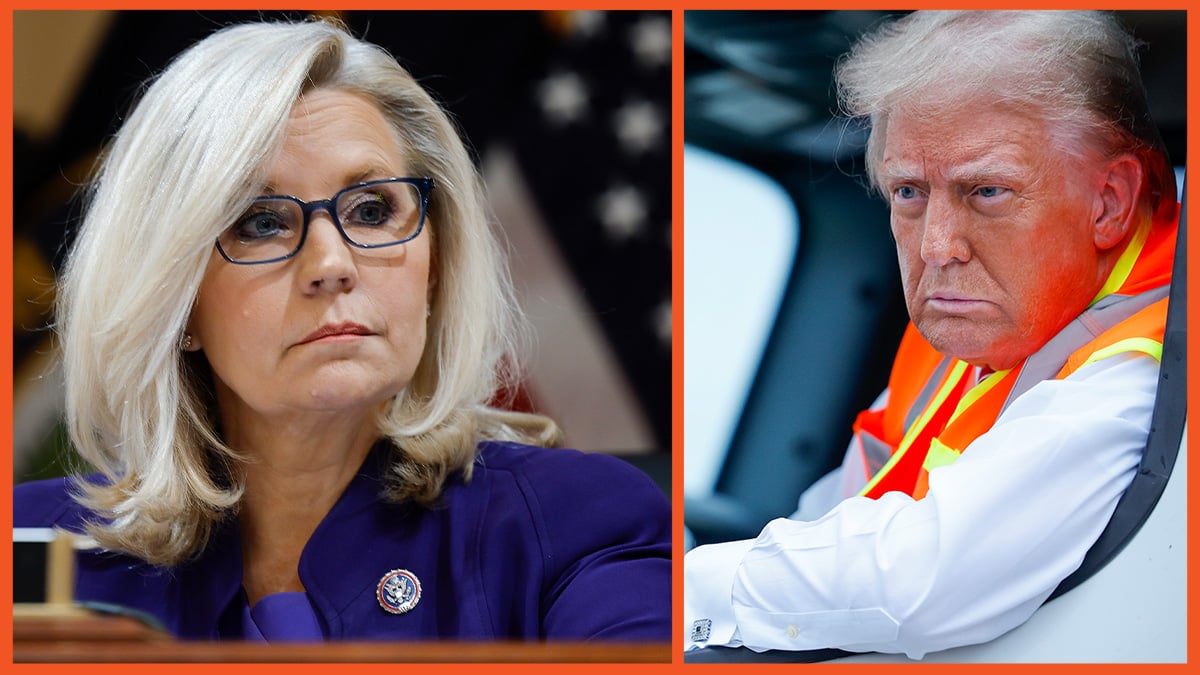 Liz Cheney stares unimpressed. Donald Trump gazes out of a garbage truck window